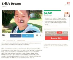 Erik Ly's crowdfunding campaign.