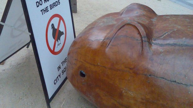 Short sighted wooden wombat in city square pic supplied for The Age 29th May 2007