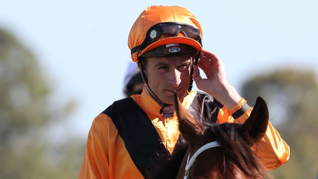 Four out of five: Blake Shinn on Joe Pride's sprinter Craftiness at Rosehill on Saturday.