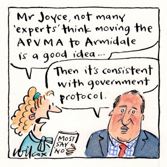 Illustration: Cathy Wilcox