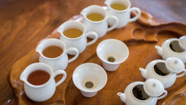 A selection of Zealong's organic teas.
