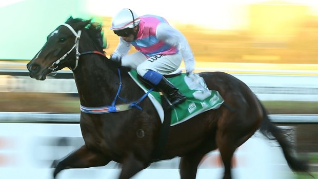 King for a day: Paul King rides Two Blue to victory at Rosehill on June 27.