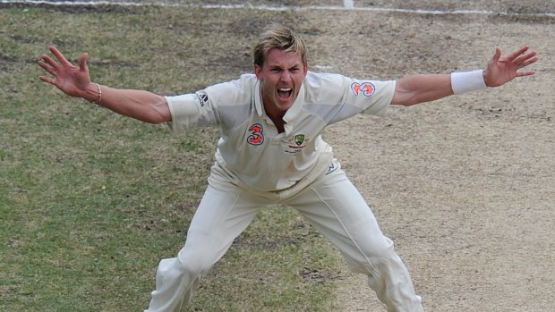 Brett Lee finished his career with 310 wickets.