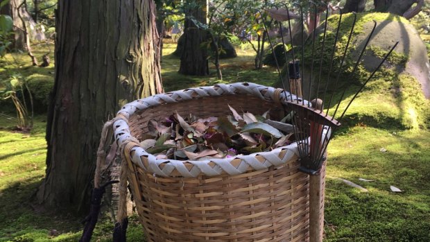 Leaves are collected in wicker baskets in a Tokyo park.