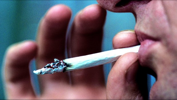 NSW Premier Mike Baird has raised hopes medical marijuana use may be legalised.