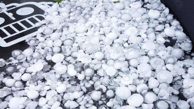 Hail on a trampoline in Normanhurst on Sydney's upper north shore on Saturday afternoon.