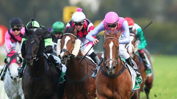 On song: Forget scores at Rosehill last month, with Blake Shinn in the saddle.