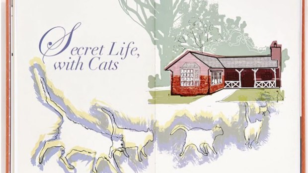 In the chapter comic, titled <i>Secret Life, with Cats</I>, a home darkly morphs from reassuring retreat to a would-be emotional tomb.