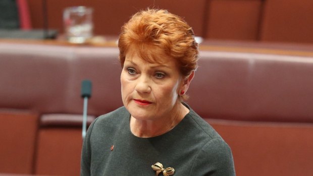 Potential gains: Pauline Hanson.