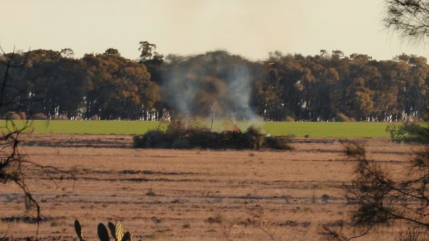 A photo taken by Office of Environment and Heritage officer Robert Strange of native vegetation being burned shortly before Glen Turner's murder at Croppa Creek. 