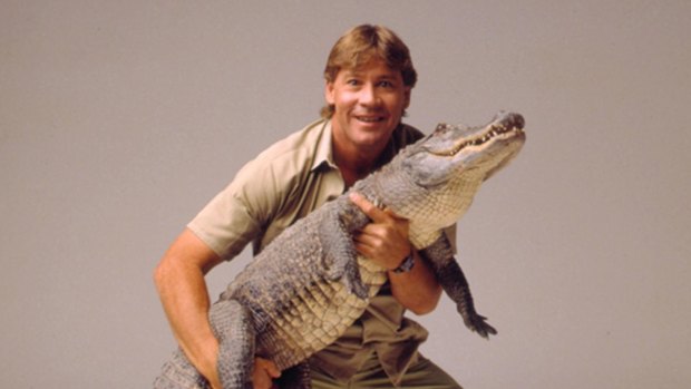 Steve Irwin was killed in 2006 after being struck by a stingray barb in the heart while snorkelling at Batt Reef in Queensland.
