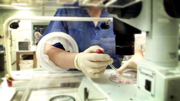 The IVF industry has been criticised for opaque data. 
