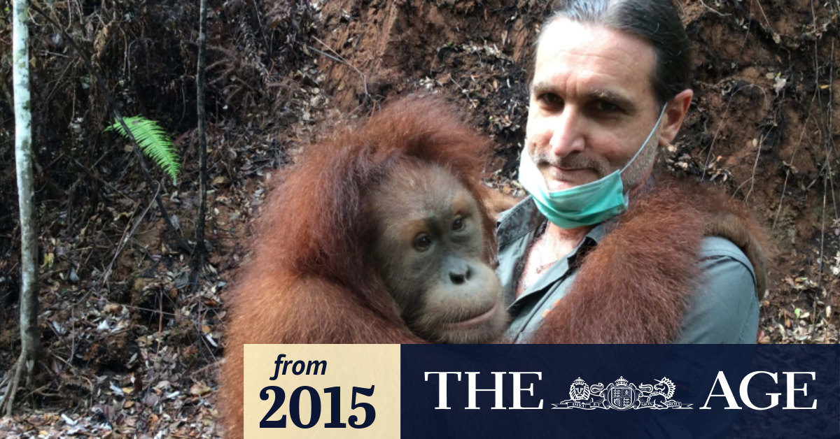 Hanging out with the orangutan whisperer