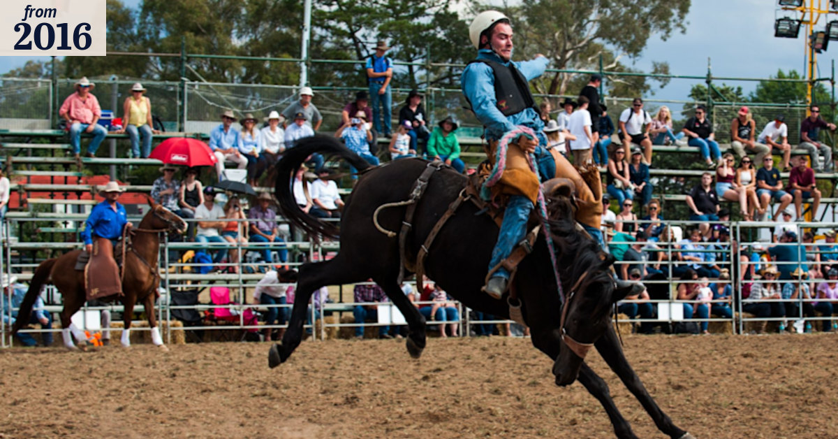 Top horsemanship and spills thrill crowd at 2016 Queanbeyan Rodeo