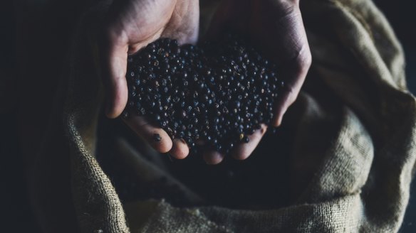 Juniper seeds are better known as berries.