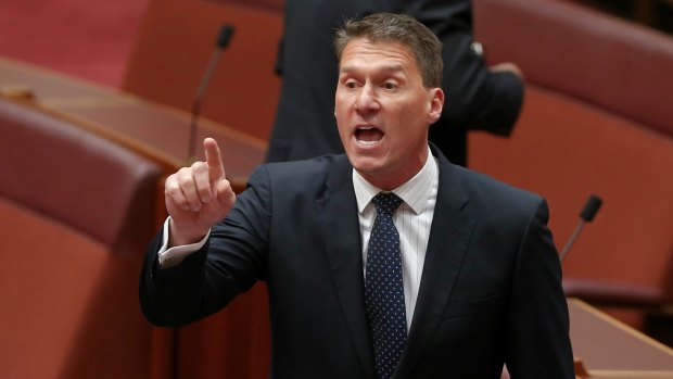 South Australian senator Cory Bernardi.