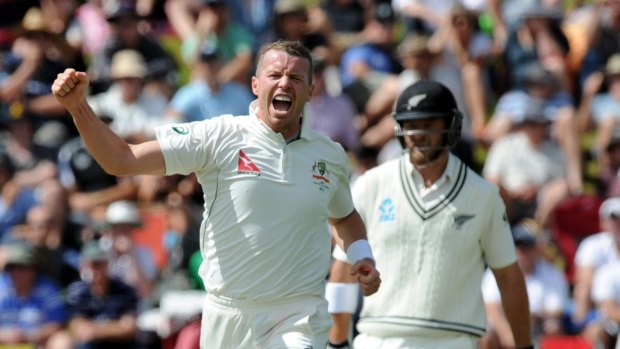 No spent force: Peter Siddle celebrates a wicket.