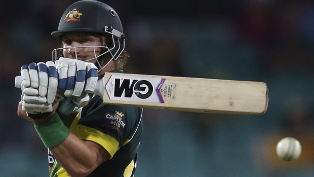 Shane Watson plundered the South African attack. 