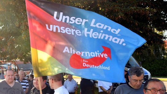 Supporters of the Alternative for Germany party hold a flag proclaiming "Our country, our homeland " 