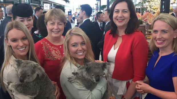 Premier Annastacia Palaszczuk, Tourism Minister Kate Jones, right, and Brisbane Airport Corporation chief executive Julieanne Alroe, back left, mark the first-ever direct flights between Shanghai and Brisbane with Australia Zoo koala handlers Jess Sullivan and Becky-Jo Quinn.