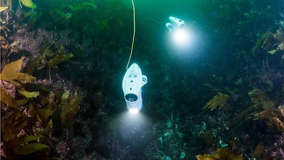 Scientists explore new areas of Great Barrier Reef thanks to underwater ...