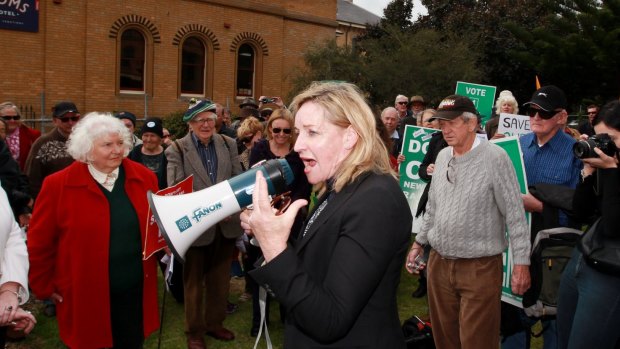 Alannah MacTiernan is unlikely to accept an invite to lead WA Labor into the next state election.