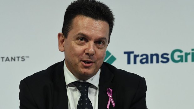 Nick Xenophon wants the government to introduce an emissions intensity scheme before he will back the government fully over its company tax-cut plan.