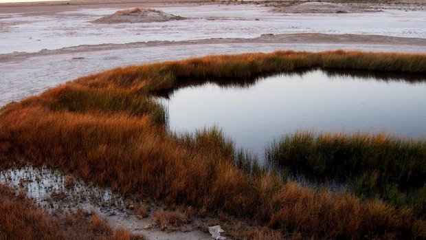 The Canning Basin in Australia's west had the third-highest rate of depletion in the world. But the Great Artesian Basin in the east was among the healthiest.