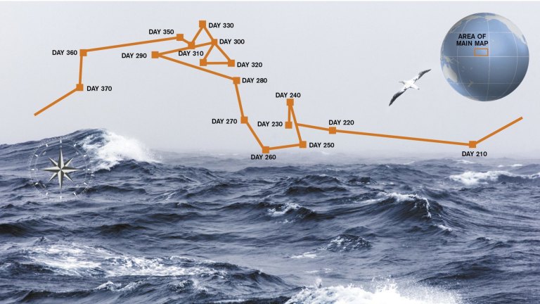How Jose Salvador Alvarenga Survived 438 Days Adrift On The Open Seas