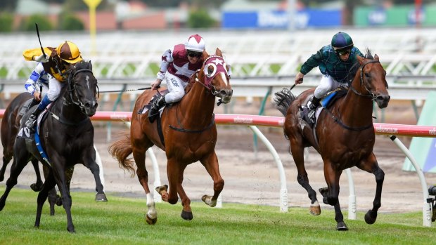 All the way: Wandjina (rails) holds off Alpine Eagle (left) and Stratum Star to win the  Guineas.