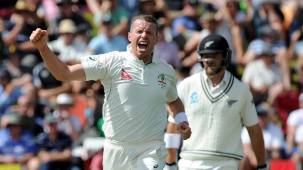 No spent force: Peter Siddle celebrates a wicket.