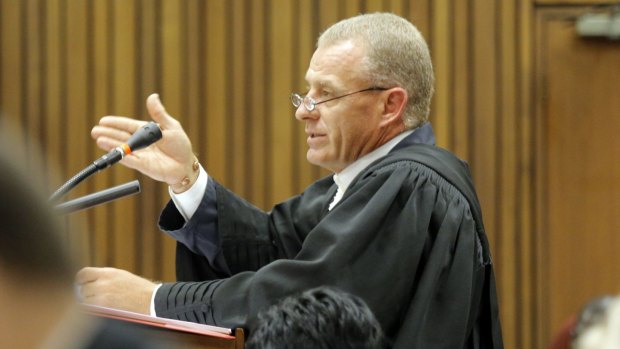 State Prosecutor Gerrie Nel argues in court on Tuesday. 