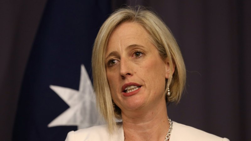 Katy Gallagher Ignored Section 44 In High Court Citizenship Case Government