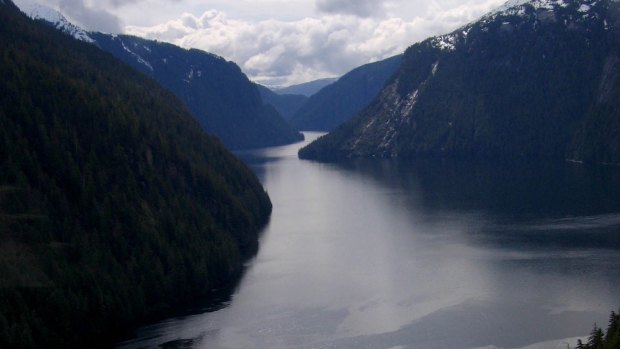 The view from a sea plane over Misty Fjords.