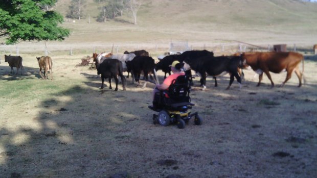 Rhonda Hodges has been rounding up cattle on her property after the procedure.