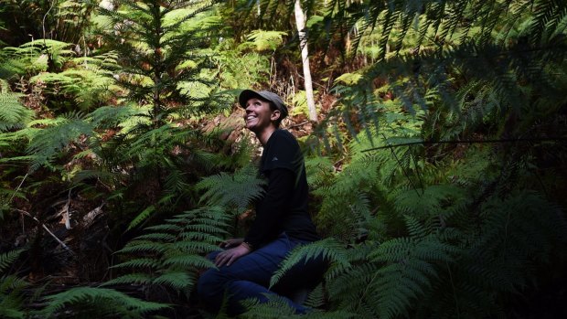 Dr Heidi Zimmer at a secret grove of replanted Wollemi pines in the Blue Mountains.