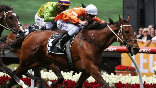 Who Shot Thebarman was scratched from the race and could not be replaced by an emergency due to a 150-year Melbourne Cup tradition. 