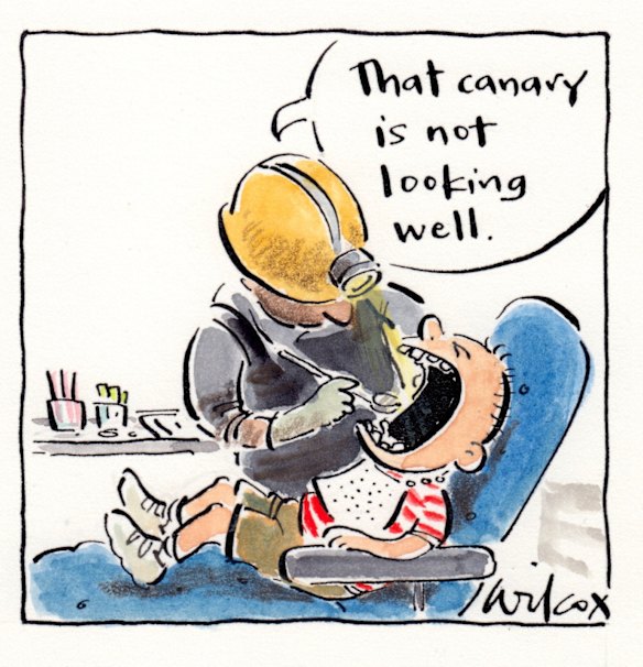 Illustration: Cathy Wilcox
