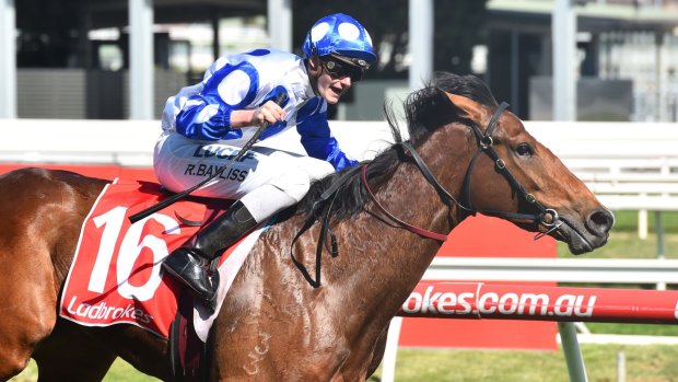 Getting the gold: Regan Bayliss wins on Harlow Gold at Caulfield in the spring.