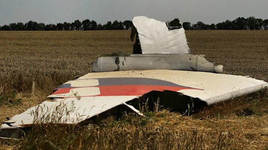 A portion of the MH17 wing lies in a field outside the village of Grabovka as smoke rises behind the tree line.