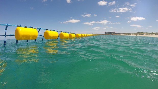 The Eco Shark Barrier in operation at Coogee Beach, Western Australia.