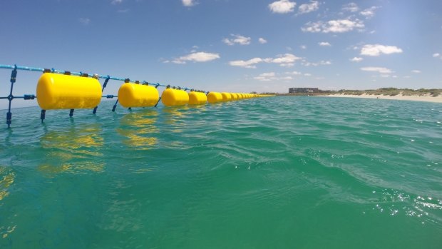 Falcon had been expected to install an Eco Shark Barrier, like the one in operation at Coogee Beach, WA.