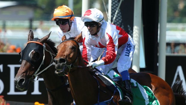Time to dream: Blake Spriggs rides Sir John Hawkwood to a strong win in the Sky High Stakes at Rosehill.