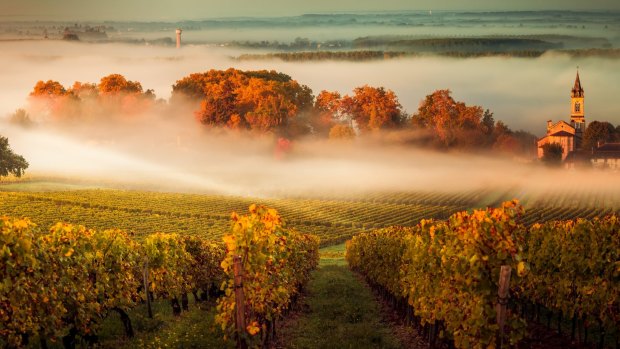 The wine region of Bordeaux, France
