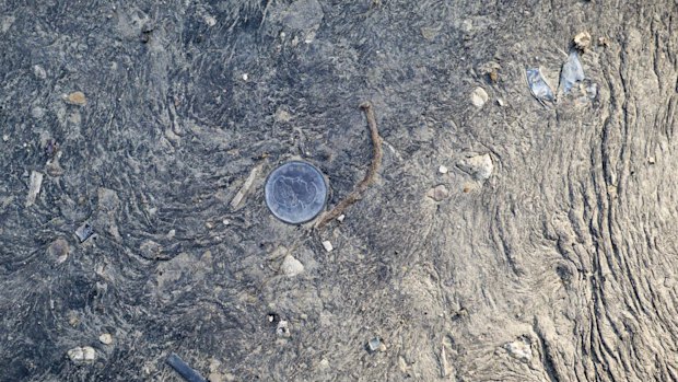 A Canadian dollar embedded in raw oil sands in Fort McMurray, Alberta.