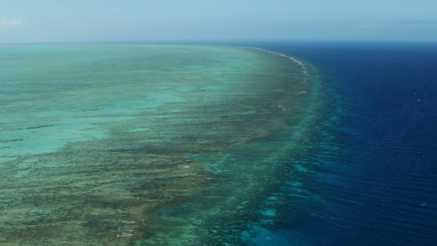 A man has died while snorkelling on the Great Barrier Reef.