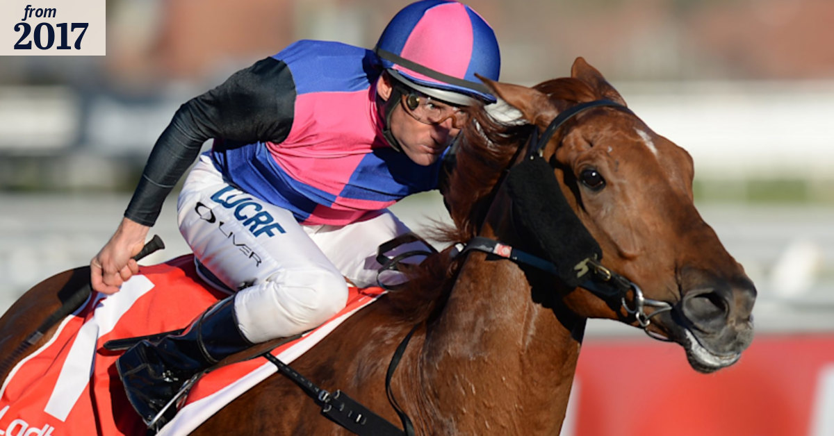 David Hayes has a chance for multiple runners in Australia's richest ...