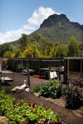 The kitchen garden at the Royal Mail Hotel, Dunkeld.