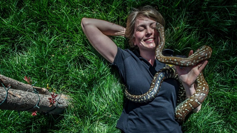 Canberra snake sightings begin as the weather warms