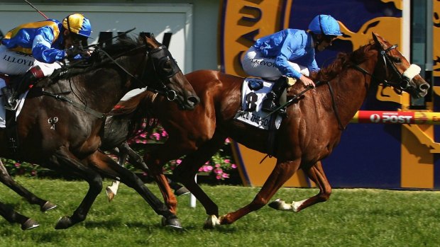 Fine memory: Kerrin McEvoy rides All The Good to victory in the 2008 Caulfield Cup.
